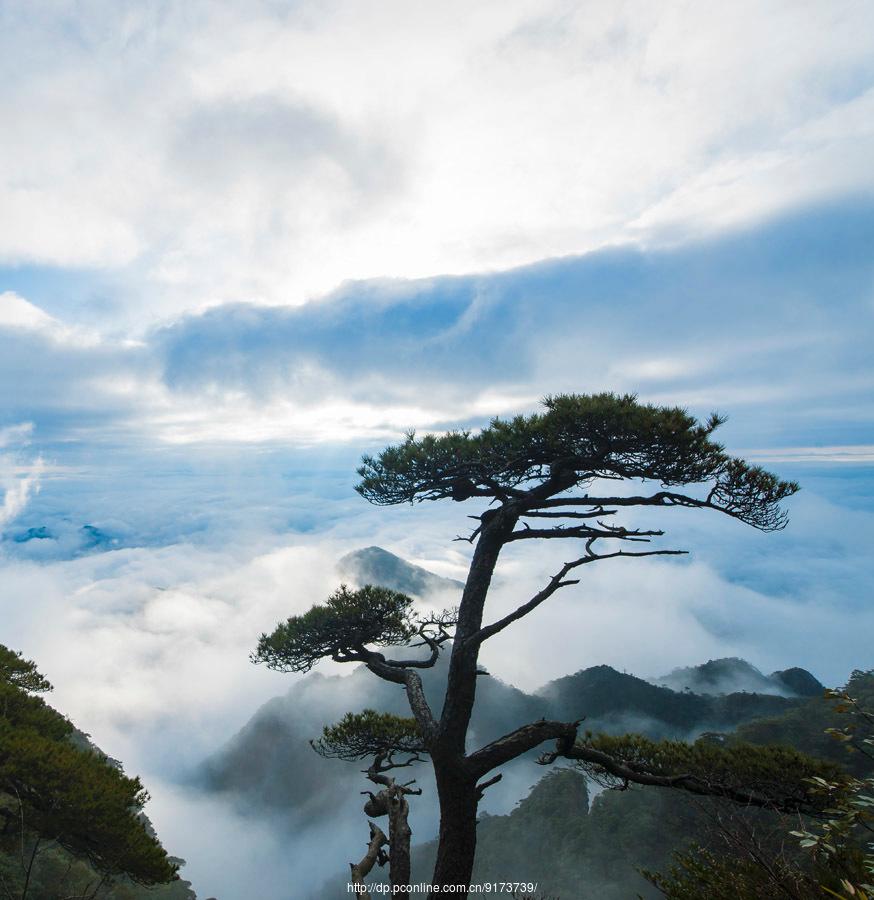 那是个美妙的地方-------三清山采风(3) 第3页