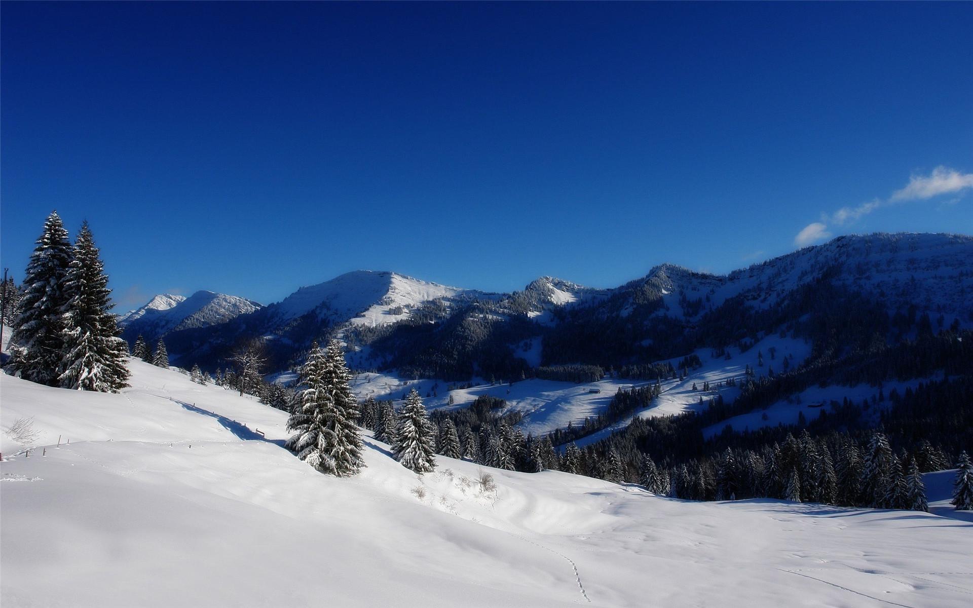 冬天雪景壁纸 日本京都冬天雪景竹林风景桌面壁纸