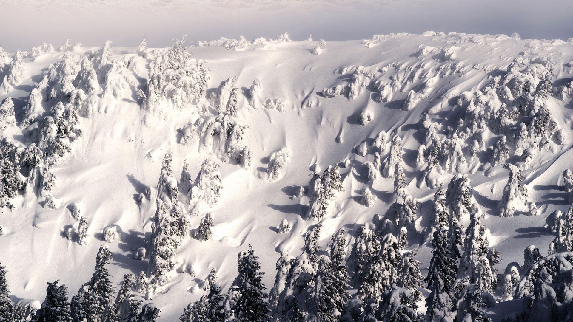 雪景壁纸桌面 冬季唯美雪景自然风光高清宽屏高清电脑