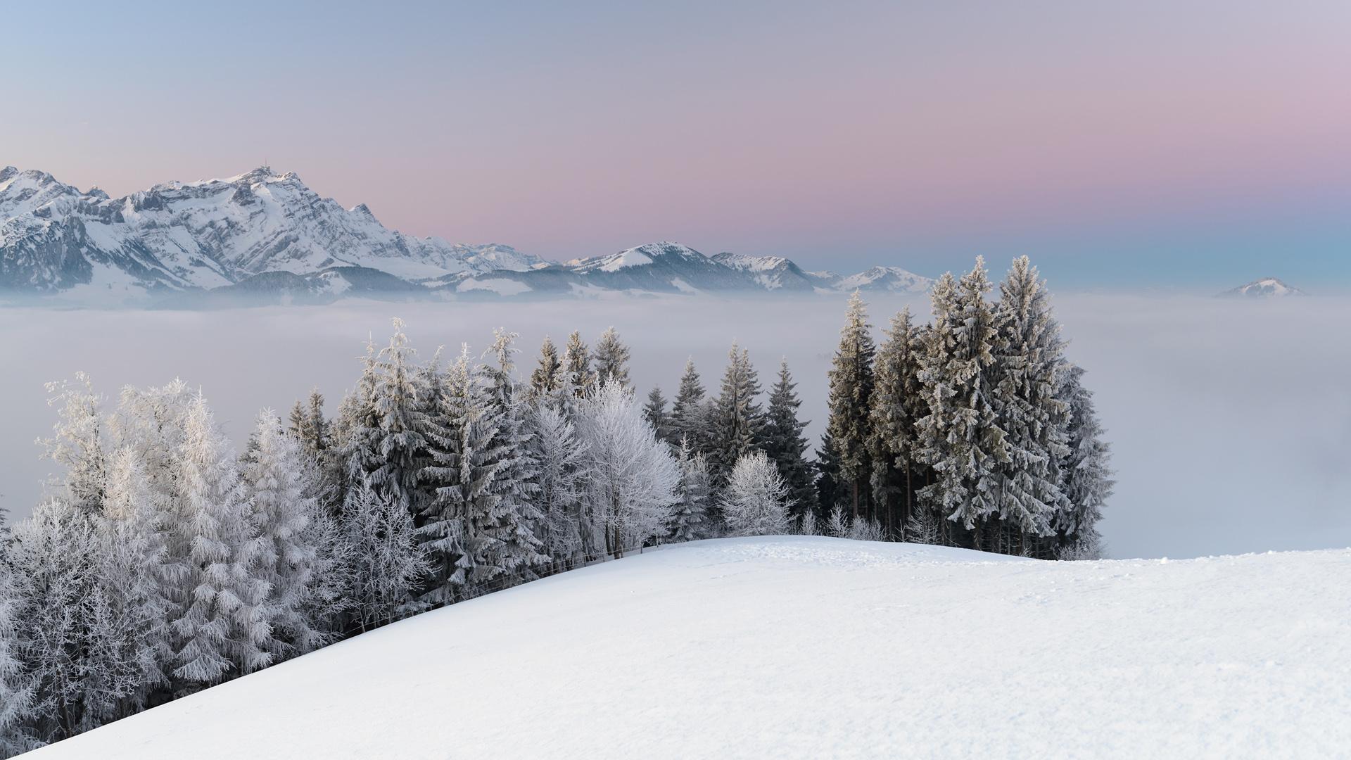 唯美雪景壁纸 冬季唯美高清雪景桌面壁纸