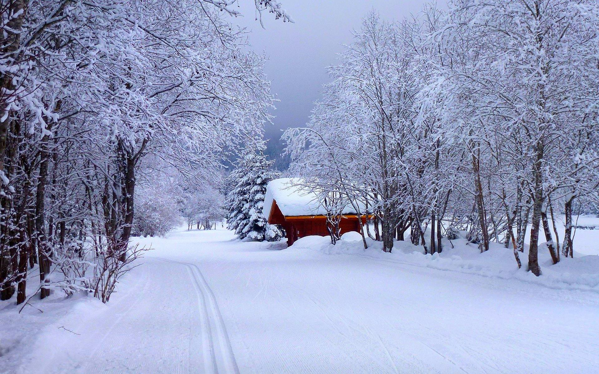 冬季唯美雪景自然风光高清宽屏高清电脑桌面主题壁纸(一)-风景壁纸-手机壁纸下载-美桌网