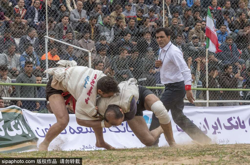伊朗摔跤赛勇士贴身肉搏 竞争激烈夺人眼球 第1页