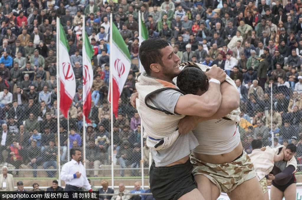 伊朗摔跤赛勇士贴身肉搏 竞争激烈夺人眼球(3) 第3页