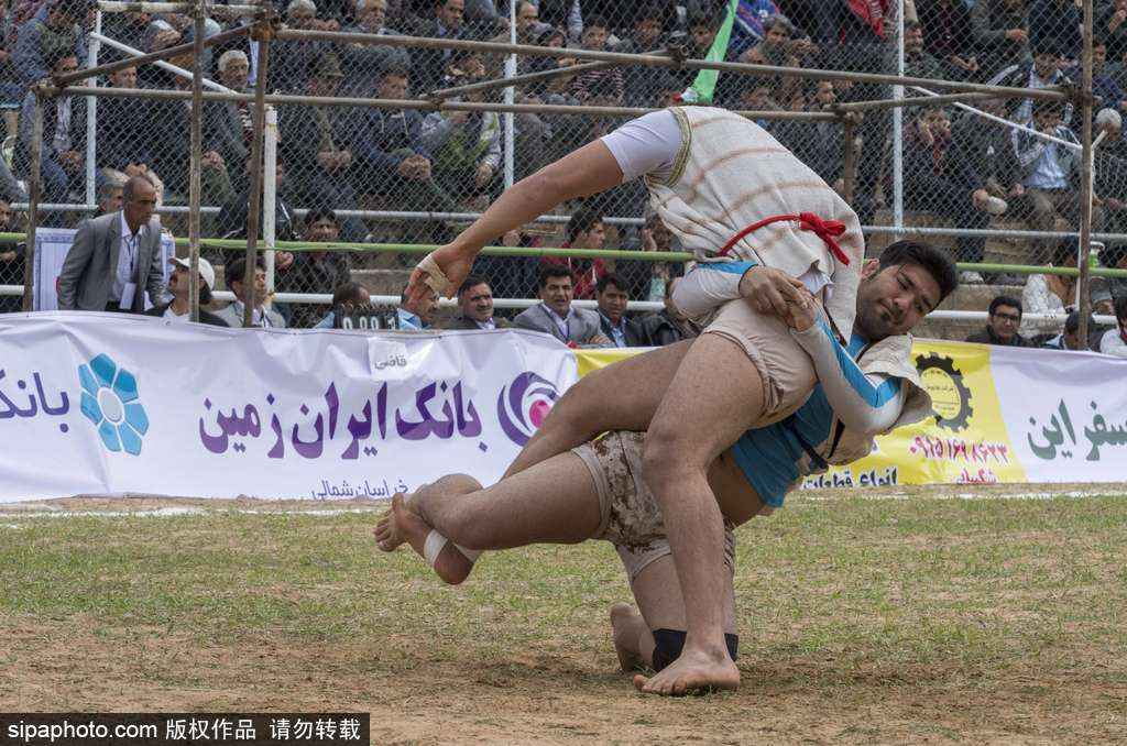 伊朗摔跤赛勇士贴身肉搏 竞争激烈夺人眼球(6) 第6页