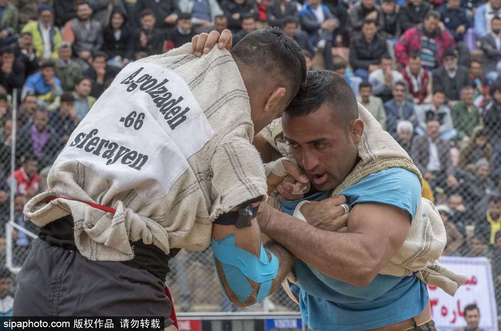 伊朗摔跤赛勇士贴身肉搏 竞争激烈夺人眼球(8) 第8页