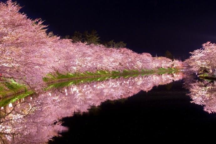 日本旅游樱花风景摄影图片：去看那花花世界(3) 第3页