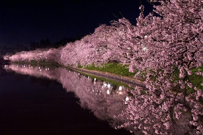 日本旅游樱花风景摄影图片：去看那花花世界(6) 第6页