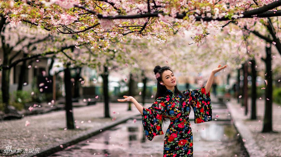 组图：如梦似幻！冉莹颖樱花写真穿旗袍大秀中国风(4) 第4页