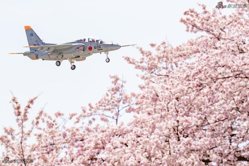 倘若继续对抗中国：日本军机和樱花都将会调零 第1页