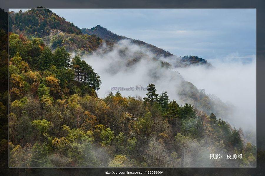 《深秋墨染化龙山》 第1页