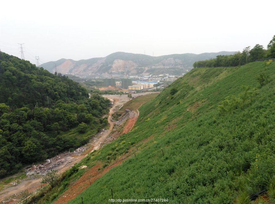 大冶铁矿复垦基地(15) 第15页