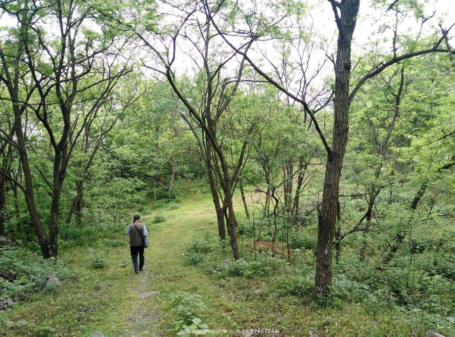 大冶铁矿复垦基地(16) 第16页