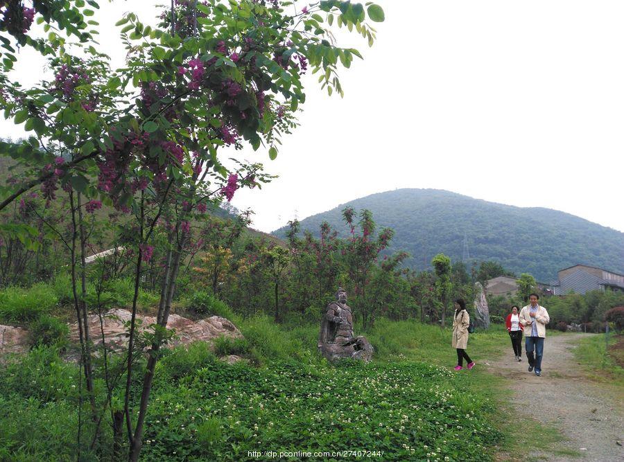 大冶铁矿复垦基地(5) 第5页