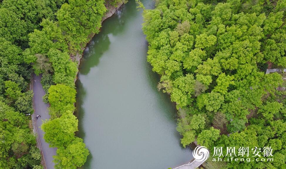 航拍巢湖东庵森林公园美景 满山苍翠绿意盎然美如画(2) 第2页