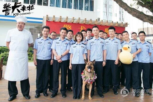 《警犬来啦》探班 杨蓉贾景晖智斗“心机汪”(4) 第4页