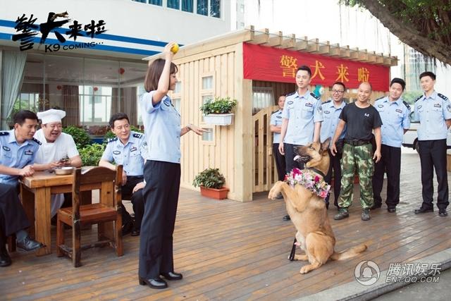 《警犬来啦》探班 杨蓉贾景晖智斗“心机汪”(10) 第10页