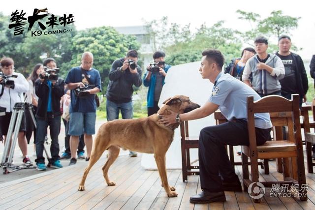 《警犬来啦》探班 杨蓉贾景晖智斗“心机汪” 第1页