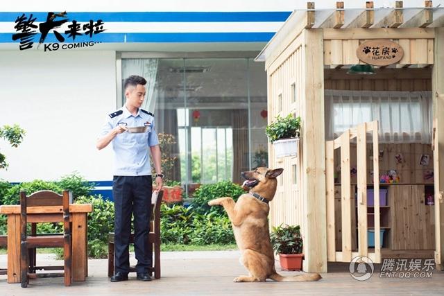 《警犬来啦》探班 杨蓉贾景晖智斗“心机汪”(6) 第6页