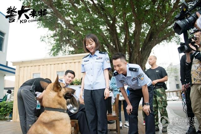 《警犬来啦》探班 杨蓉贾景晖智斗“心机汪”(8) 第8页