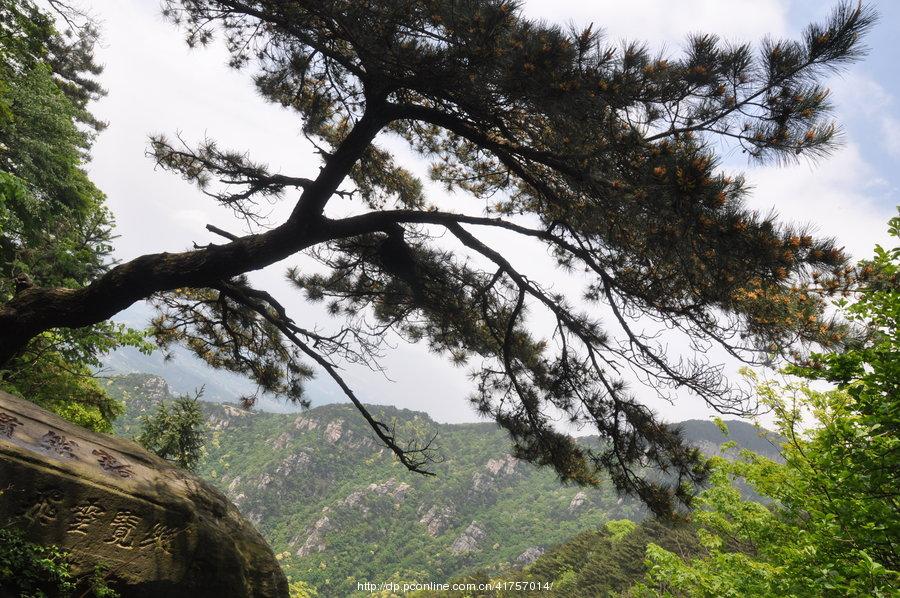 縱覽雲飛 第1页