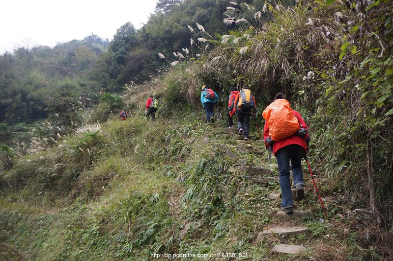 还是故乡山水亲(8) 第8页