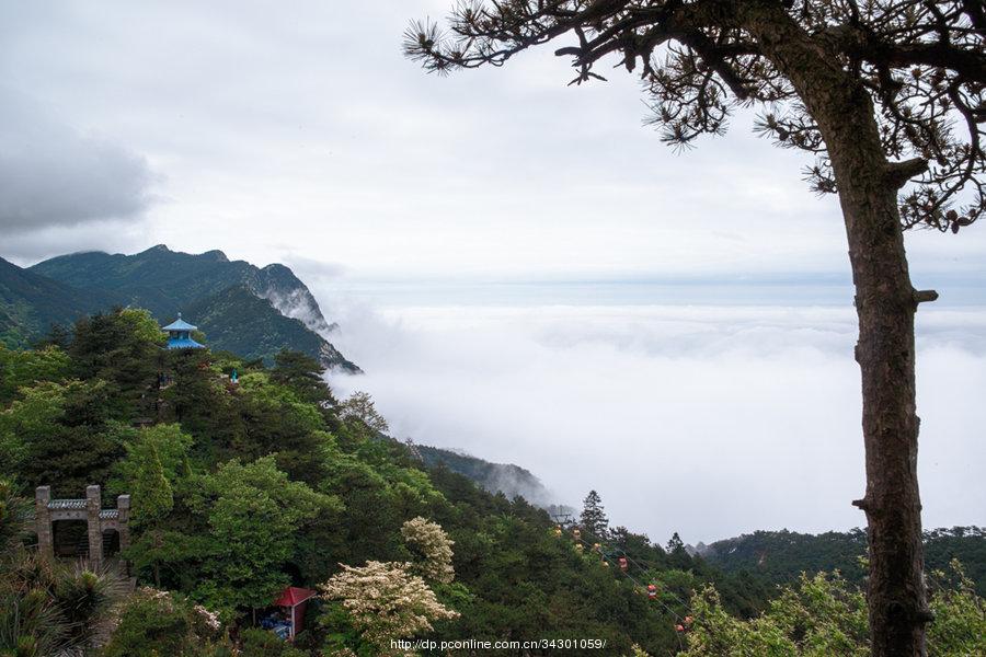 庐山云雾(4) 第4页