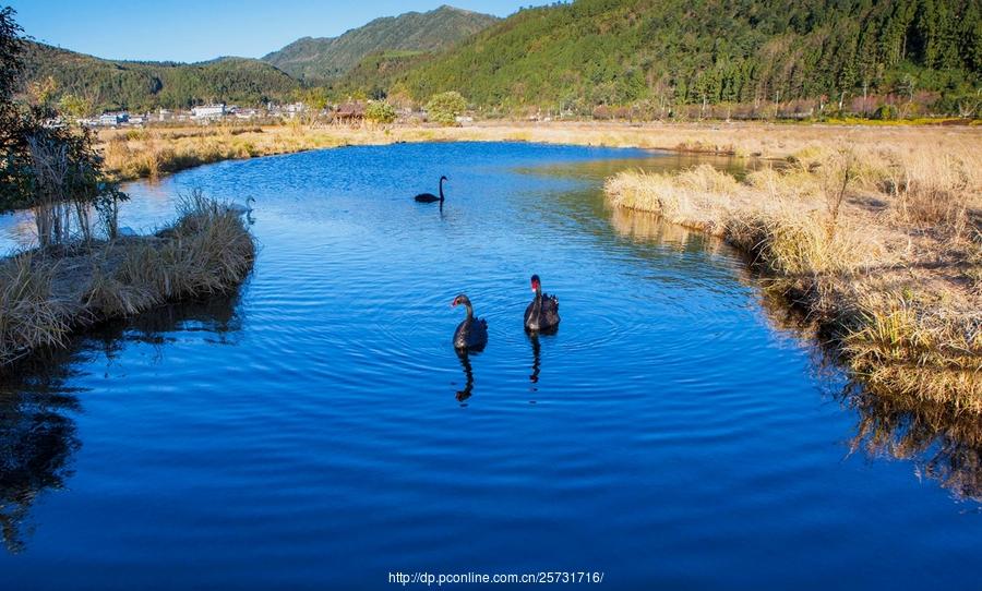 腾冲北海湿地(5) 第5页