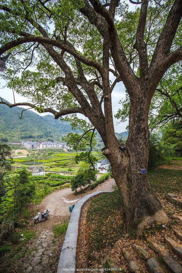 独山寨古村落(9) 第9页