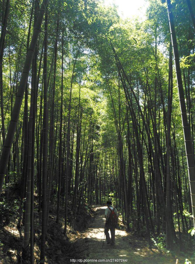 大冶北山头好风光(3) 第3页