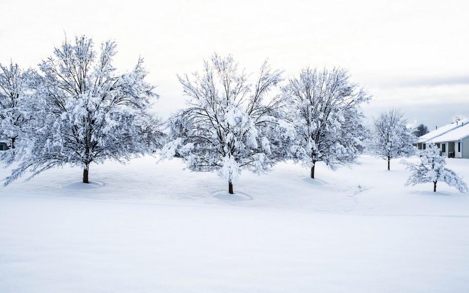 唯美的雪高清壁纸