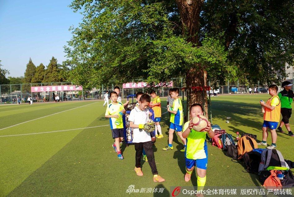 北京学校足球场惊现参天大树