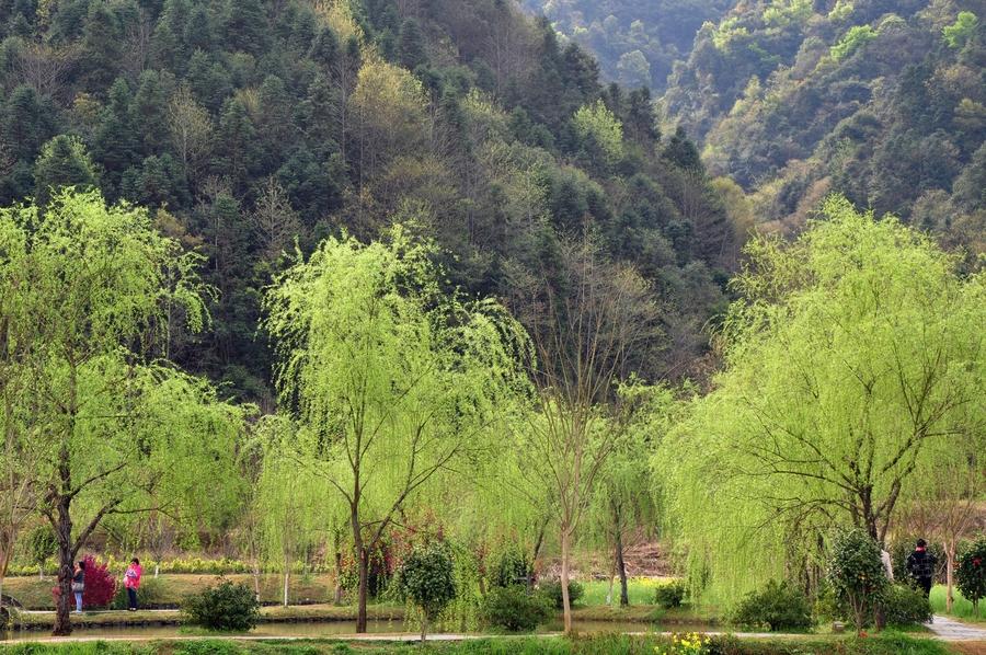 瑶湾风光2 第1页