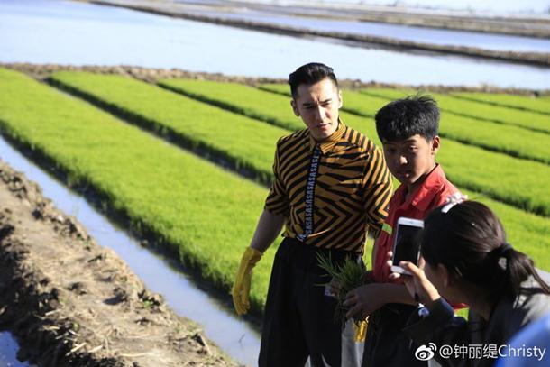 钟丽缇张伦硕下地插秧 因为一个细节被骂(图)(6) 第6页