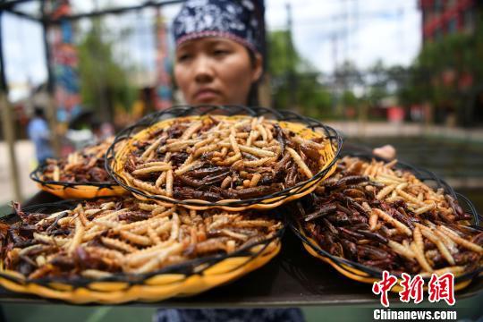 游客丽江狂吃2斤油炸昆虫后赢得金条(3) 第3页