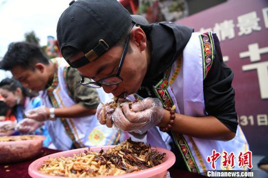 游客丽江狂吃2斤油炸昆虫后赢得金条(6) 第6页