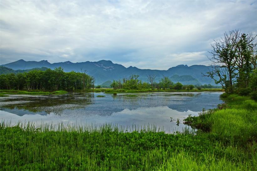 湖北神农架大九湖风景图片