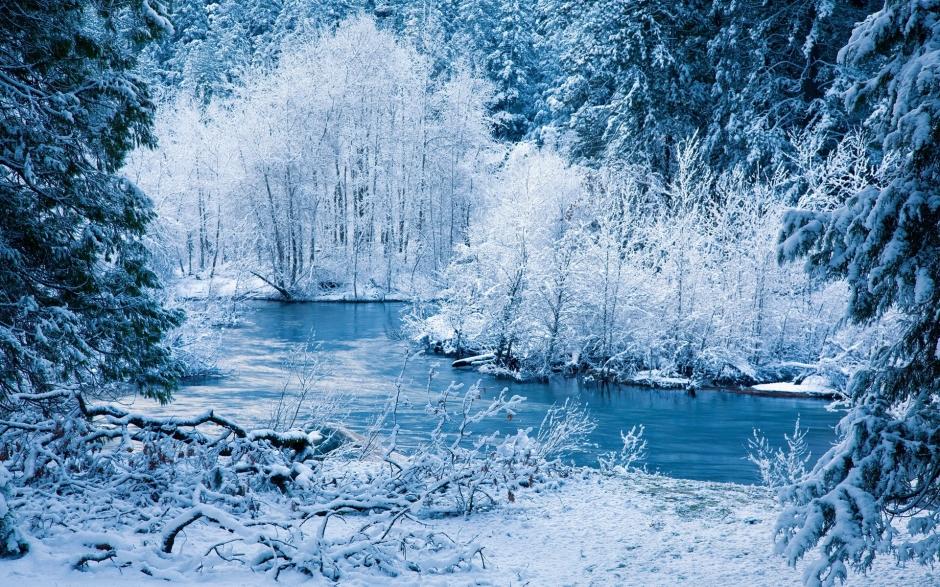 北国唯美白色雪景精美壁纸