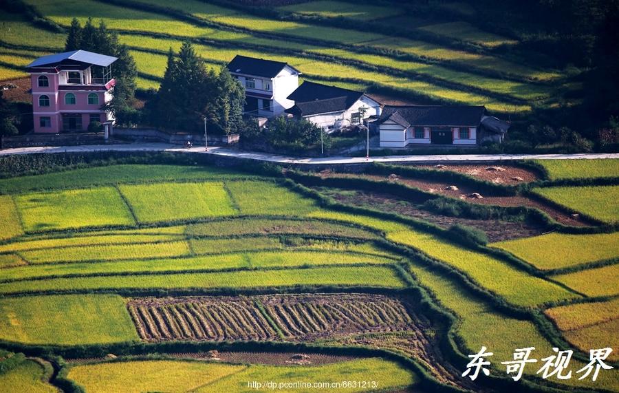 美丽乡村——尖岩（二）(10) 第10页