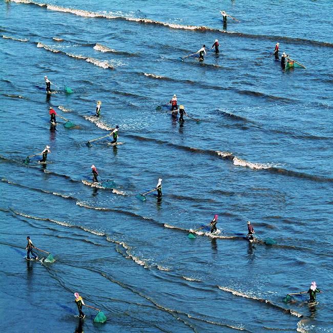 福建霞浦滩涂风情 谱写大海赞美诗 第1页