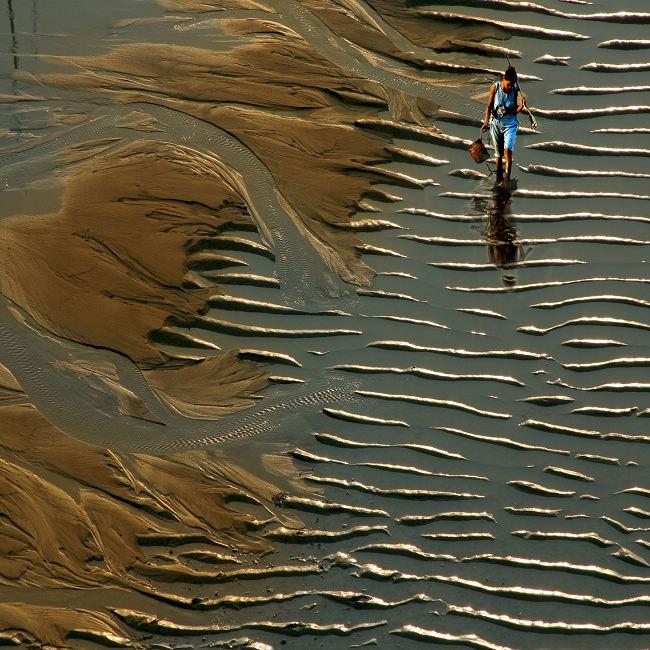 福建霞浦滩涂风情 谱写大海赞美诗(19) 第19页