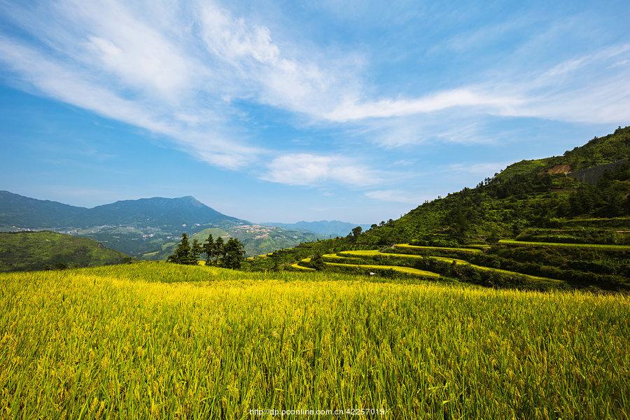 青田小舟山采风随拍···(7) 第7页