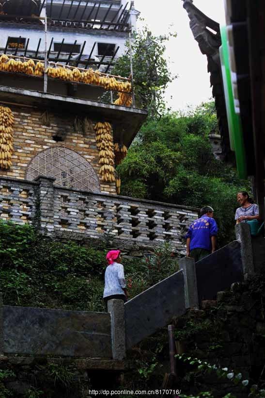 又见篁岭(2) 第2页