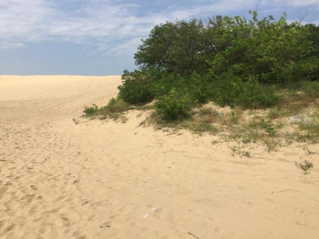 黄金海岸翡翠岛风景图片 第1页