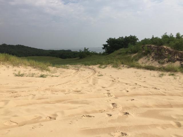 黄金海岸翡翠岛风景图片(3) 第3页