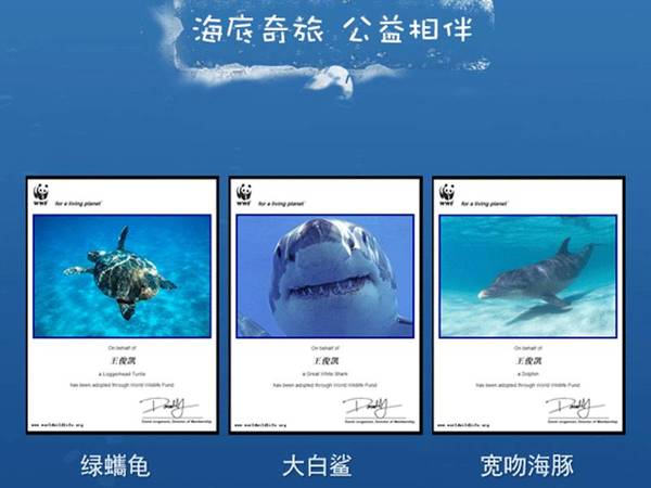 王俊凯的史诗级成人礼：承包海陆空 攻陷全宇宙(11) 第11页