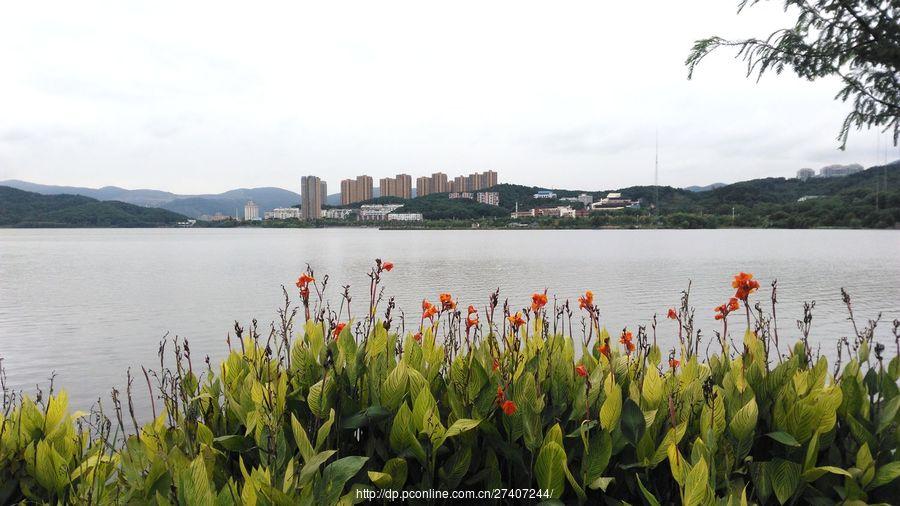 漫步磁湖楠竹林景区 第1页