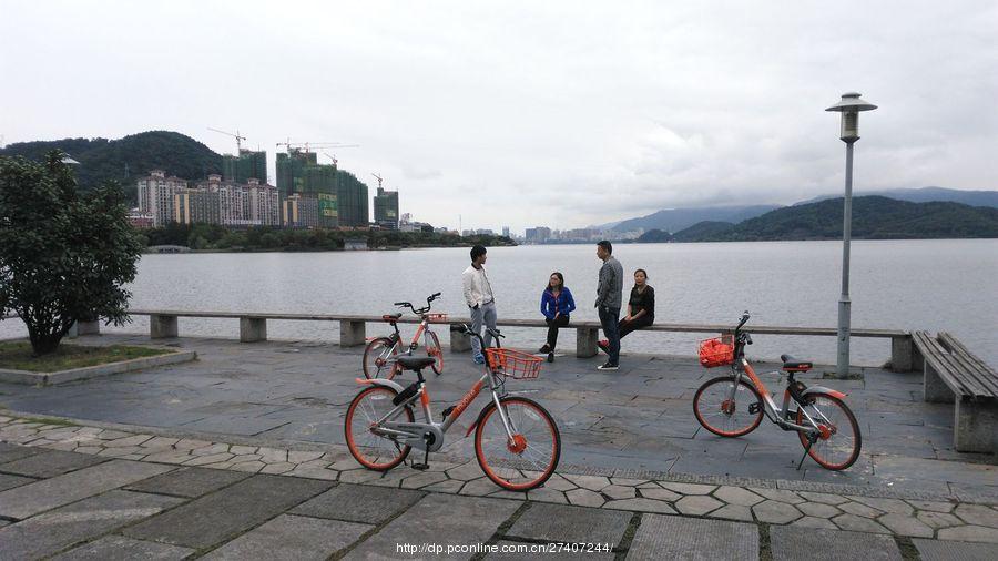 漫步磁湖楠竹林景区(2) 第2页