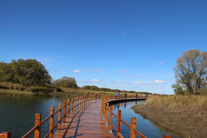 黑瞎子岛湿地公园风景图片