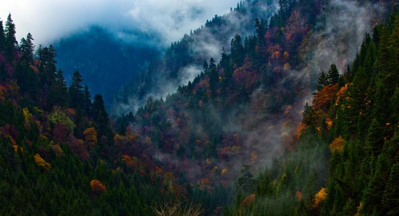 山清水秀的达古冰川风景图片 第1页