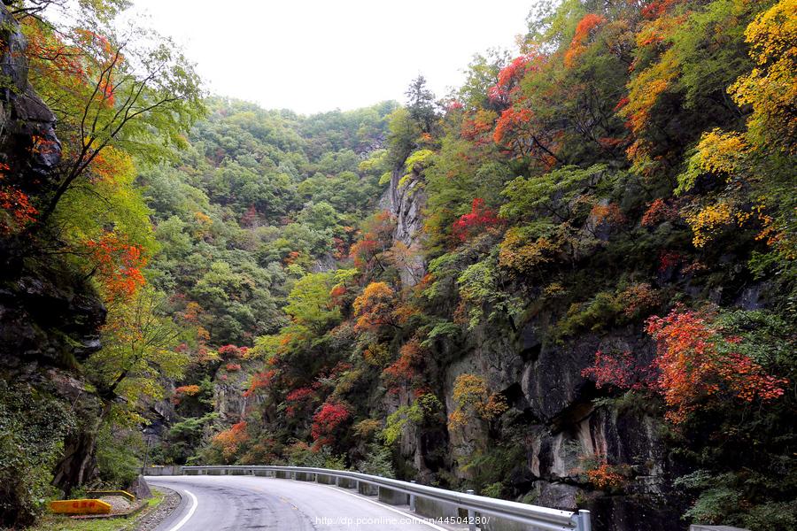 秦岭分水岭南坡峡谷(10) 第10页